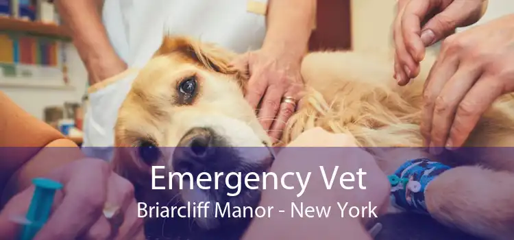 Emergency Vet Briarcliff Manor - New York