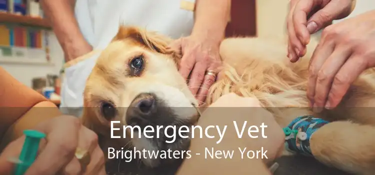 Emergency Vet Brightwaters - New York