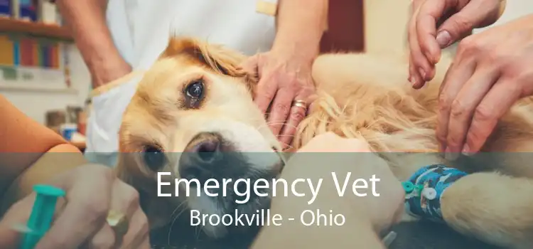 Emergency Vet Brookville - Ohio