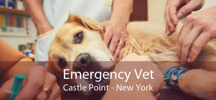 Emergency Vet Castle Point - New York