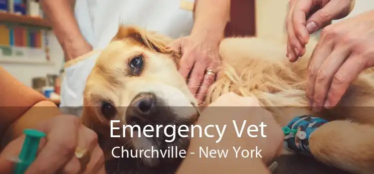 Emergency Vet Churchville - New York