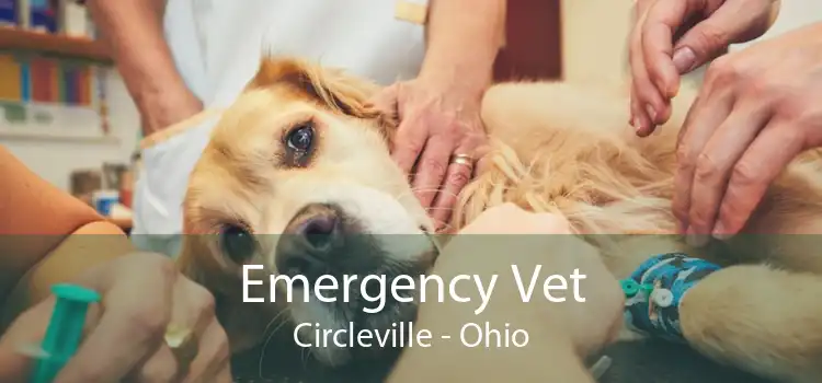 Emergency Vet Circleville - Ohio