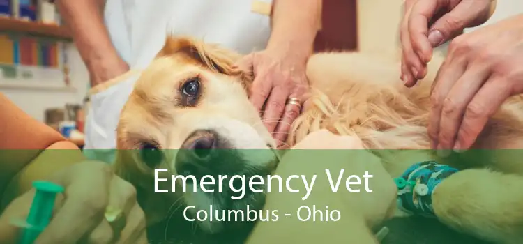 Emergency Vet Columbus - Ohio