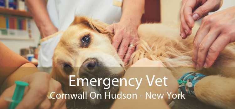 Emergency Vet Cornwall On Hudson - New York