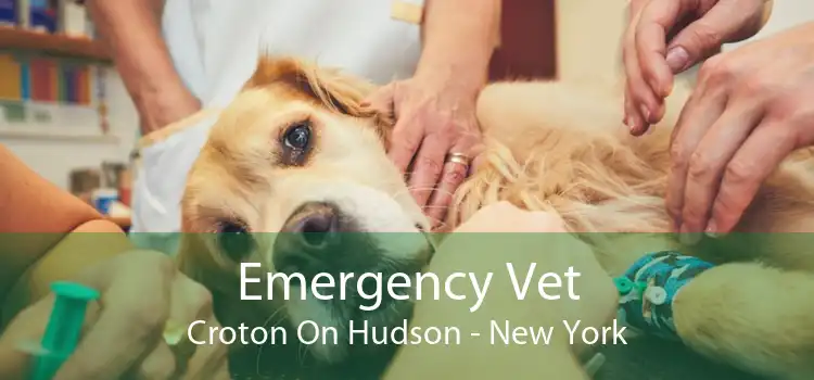 Emergency Vet Croton On Hudson - New York