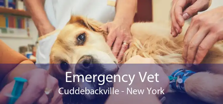 Emergency Vet Cuddebackville - New York