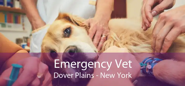 Emergency Vet Dover Plains - New York