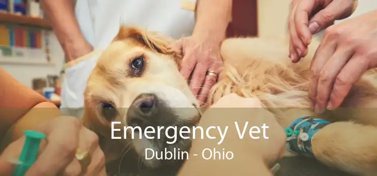 Emergency Vet Dublin - Ohio