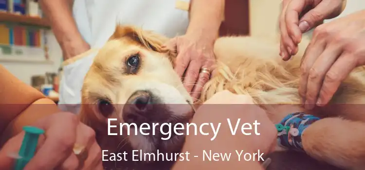 Emergency Vet East Elmhurst - New York