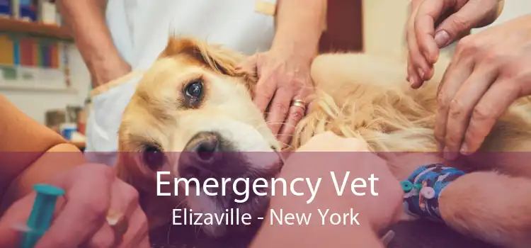Emergency Vet Elizaville - New York