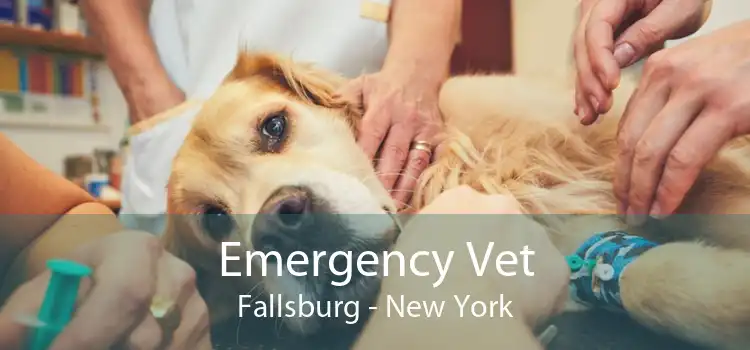 Emergency Vet Fallsburg - New York