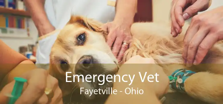 Emergency Vet Fayetville - Ohio