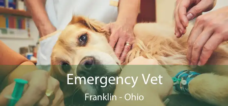 Emergency Vet Franklin - Ohio