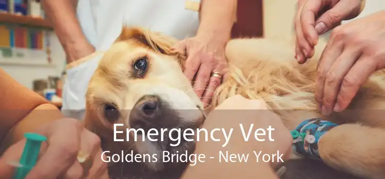 Emergency Vet Goldens Bridge - New York