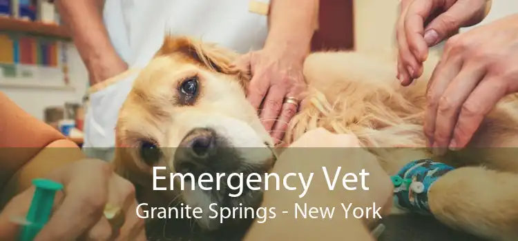 Emergency Vet Granite Springs - New York