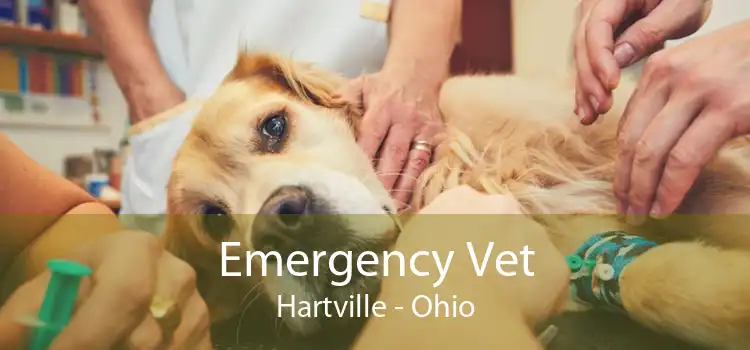 Emergency Vet Hartville - Ohio