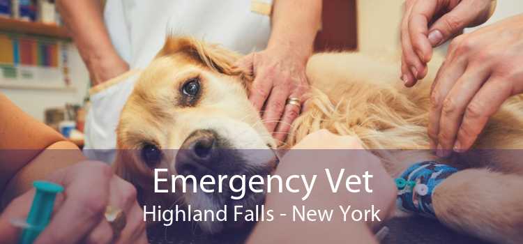 Emergency Vet Highland Falls - New York