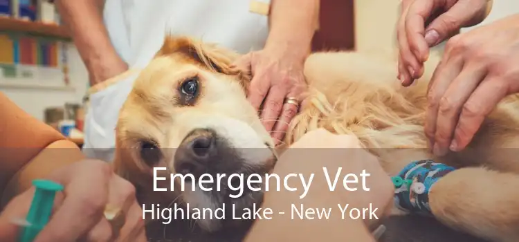 Emergency Vet Highland Lake - New York