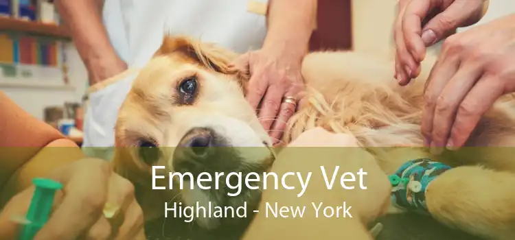 Emergency Vet Highland - New York