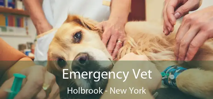 Emergency Vet Holbrook - New York