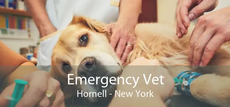 Emergency Vet Hornell - New York