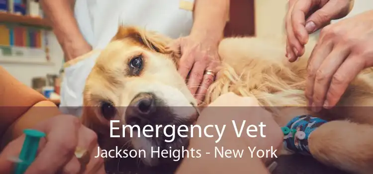 Emergency Vet Jackson Heights - New York