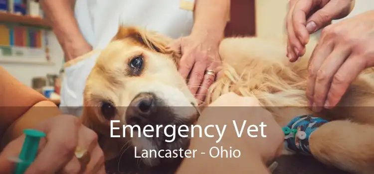 Emergency Vet Lancaster - Ohio