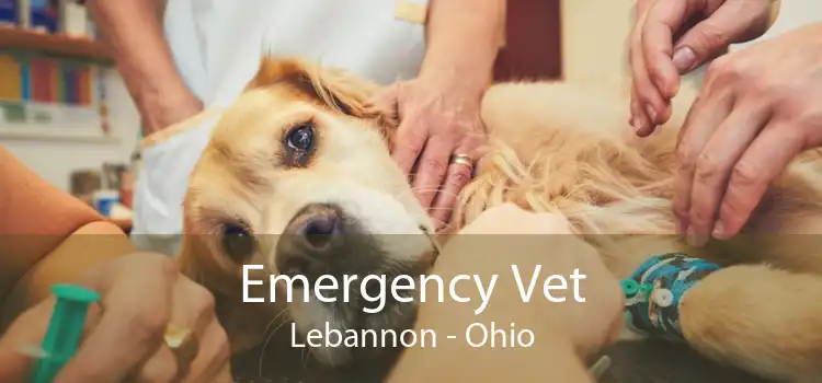Emergency Vet Lebannon - Ohio