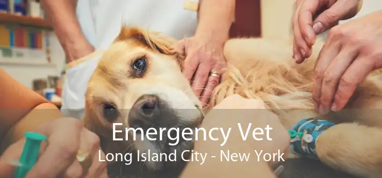 Emergency Vet Long Island City - New York