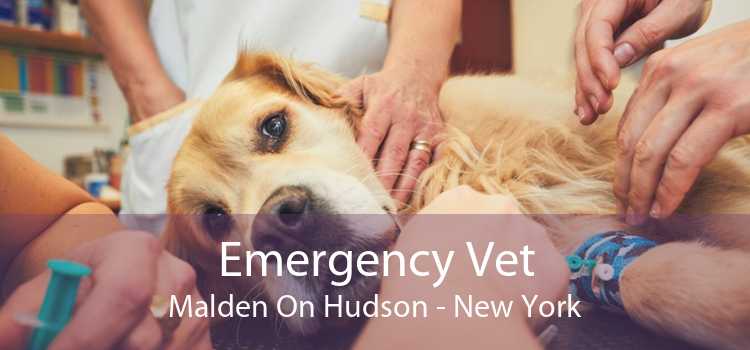 Emergency Vet Malden On Hudson - New York