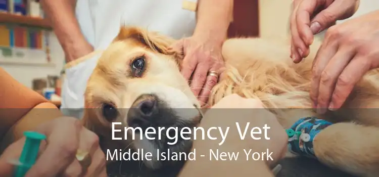 Emergency Vet Middle Island - New York