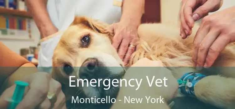 Emergency Vet Monticello - New York