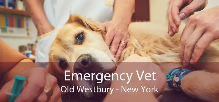 Emergency Vet Old Westbury - New York