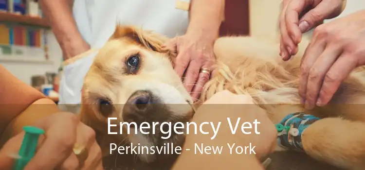 Emergency Vet Perkinsville - New York
