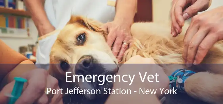 Emergency Vet Port Jefferson Station - New York