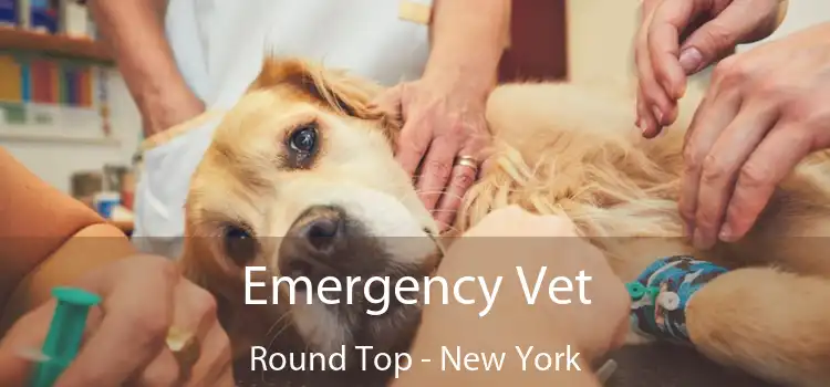 Emergency Vet Round Top - New York