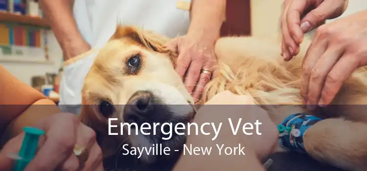 Emergency Vet Sayville - New York