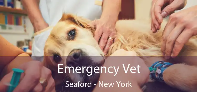 Emergency Vet Seaford - New York