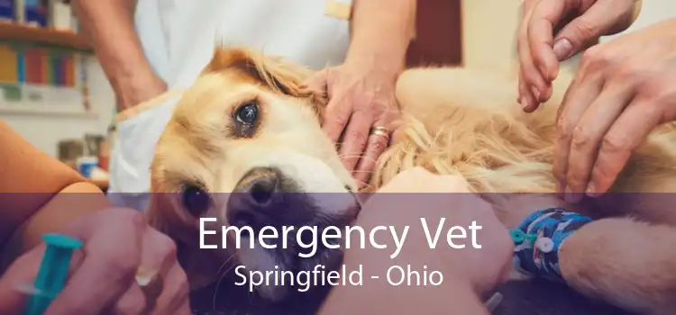 Emergency Vet Springfield - Ohio