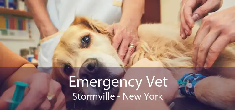 Emergency Vet Stormville - New York