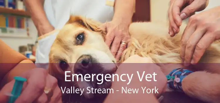 Emergency Vet Valley Stream - New York