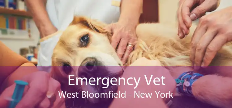 Emergency Vet West Bloomfield - New York