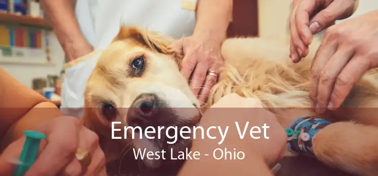 Emergency Vet West Lake - Ohio