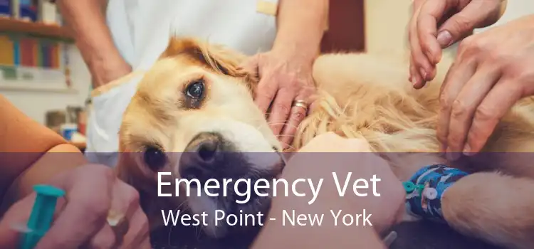 Emergency Vet West Point - New York