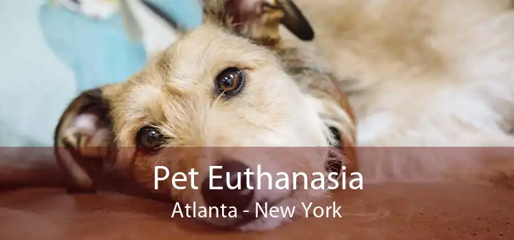 Pet Euthanasia Atlanta - New York