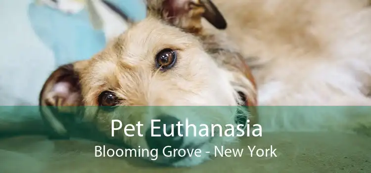 Pet Euthanasia Blooming Grove - New York