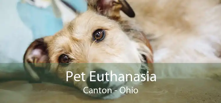 Pet Euthanasia Canton - Ohio