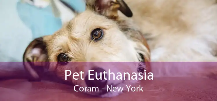 Pet Euthanasia Coram - New York