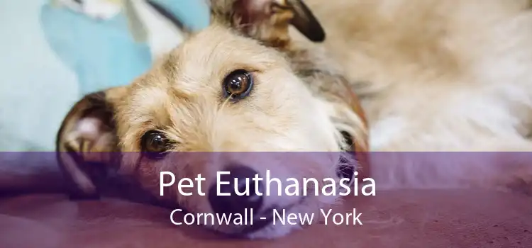 Pet Euthanasia Cornwall - New York