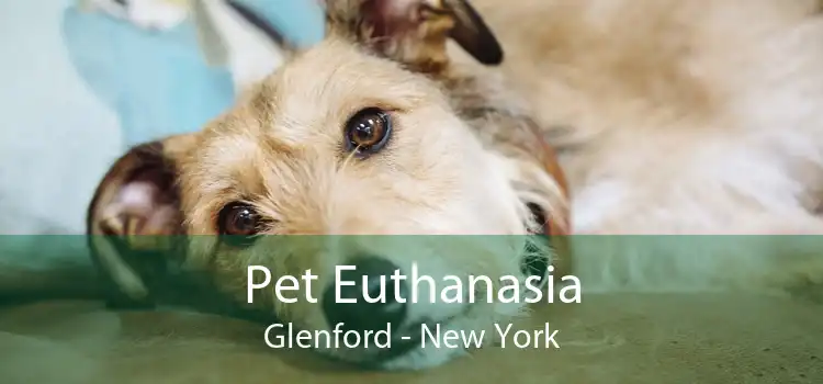 Pet Euthanasia Glenford - New York